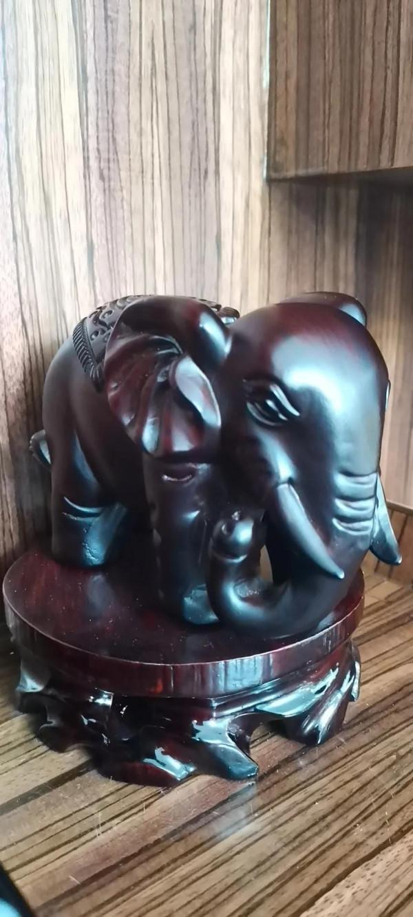 為什麼有的人 年紀輕輕卻思想高遠,有深度、有見解 為什麼有的人 年紀輕輕卻思想高遠,有深度、有見解