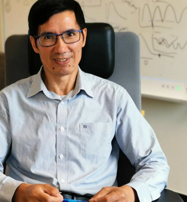 模仿蜘蛛網 NTNU專家創造出具備優秀剛度和韌性的新彈性材料