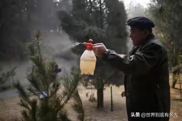 46張照片，帶你見識朝鮮，不為人知的另一面