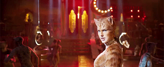 萬萬沒想到,一群萌貓成了我的“邪典”噩夢 萬萬沒想到,一群萌貓成了我的“邪典”噩夢