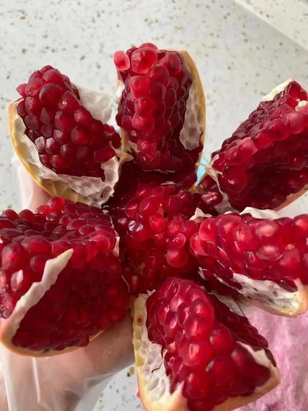 什麼是健康狀態？那什麼是亞健康狀態呢？