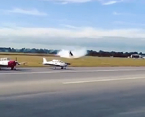 90個神奇照片，剛出生的小刺蝟，大白鯊的驚人尺寸，水上麻將桌椅