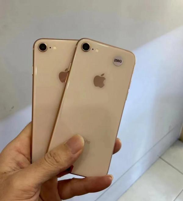 孝心依然是這個冬天裡最溫暖的禮物