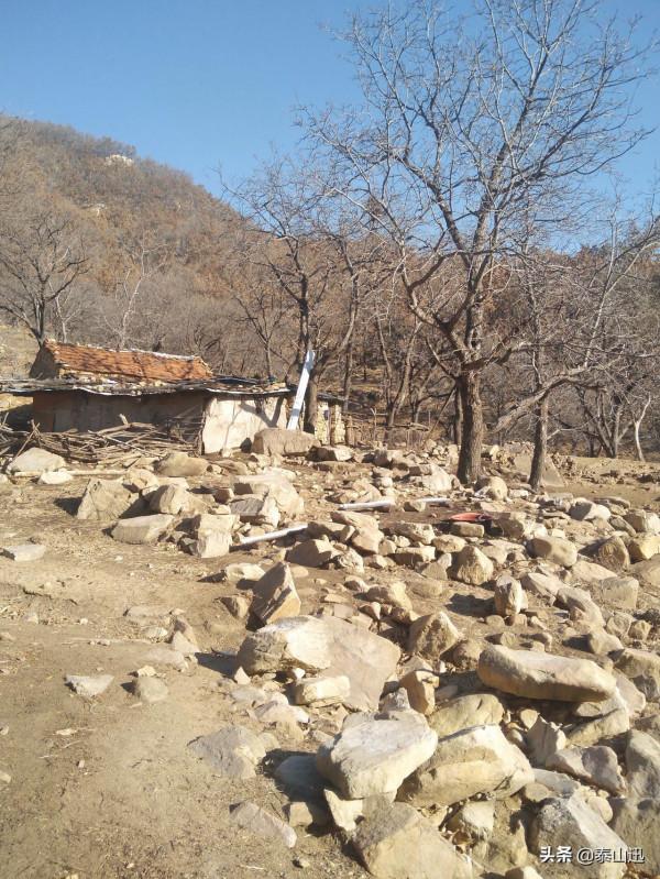 冬至驢行泰山之黃石崖，老平臺，映霞峰，桃花峪東西穿越