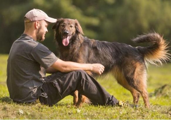 雖然養狗花錢多,但卻有這些好處 雖然養狗花錢多,但卻有這些好處
