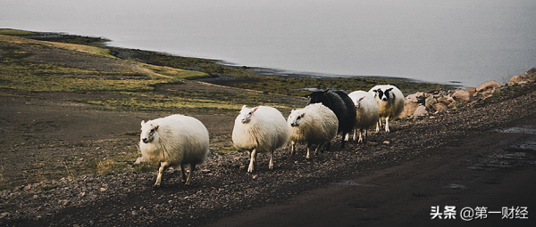 北京4年出走了673家高新技術企業,它們都搬去了哪裡? 北京4年出走了673家高新技術企業,它們都搬去了哪裡?