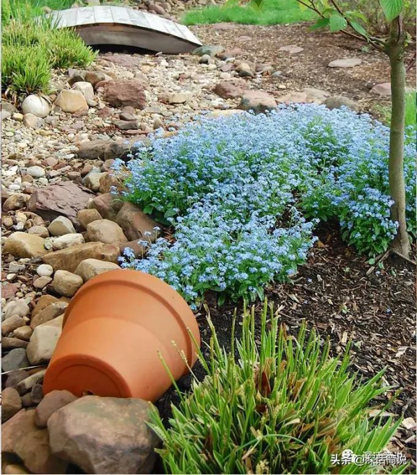 喜歡的事,一定要堅持啊 喜歡的事,一定要堅持啊