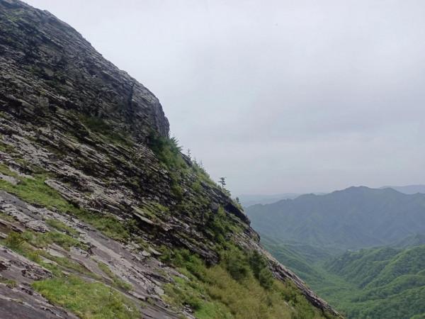 秦嶺深處的高山草甸，朱雀森林公園
