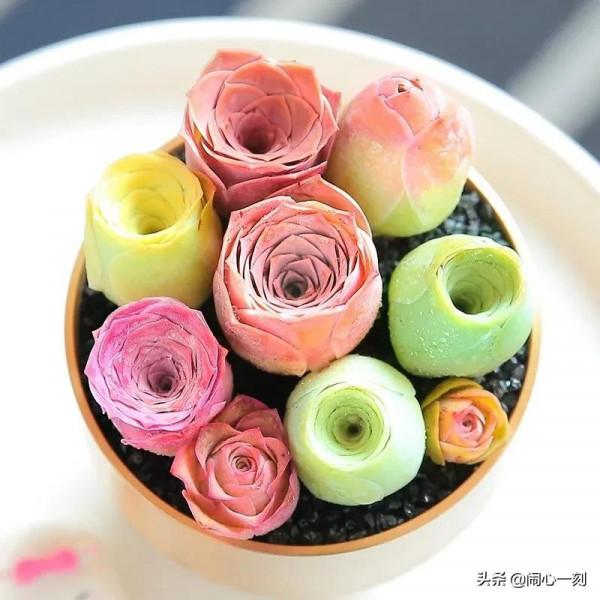 分享&mdash;&mdash;玫瑰多肉