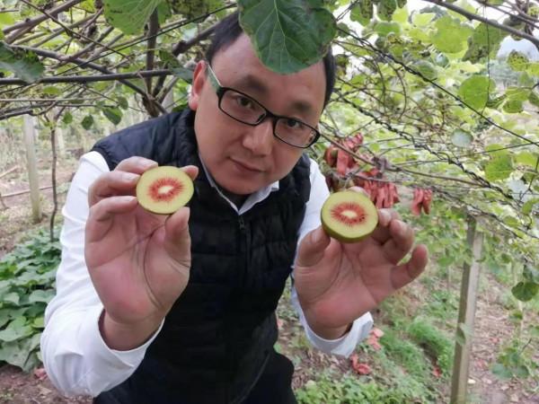 城市菜價漲,農村機會多?這8類人想返鄉創業缺資金,咋白手起家 城市菜價漲,農村機會多?這8類人想返鄉創業缺資金,咋白手起家