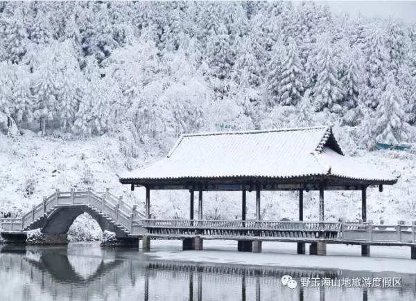 【圖說涼都】野玉海，銀裝素裹的童話世界