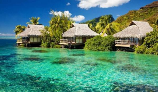 1891歲大樹的年輪，大象推翻汽車，喜鵲騎著白頭鷹，鬣狗飼養員