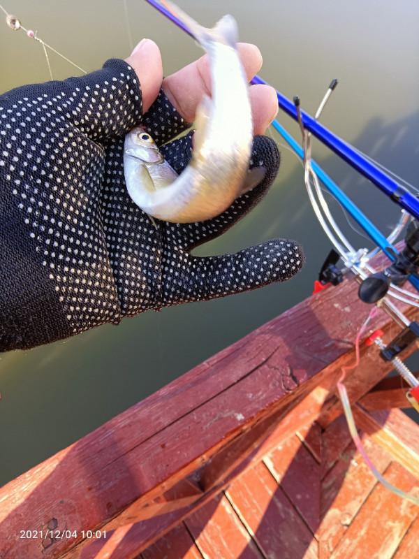 天氣越好魚口越不好，你贊意這個的觀點嘛，歡迎大師留言