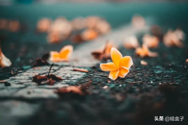 《道德經》中的“道”究竟是什麼？搞明白了這個才算讀懂