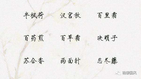 也許你不知道,藥名也可以魂牽夢繞 也許你不知道,藥名也可以魂牽夢繞