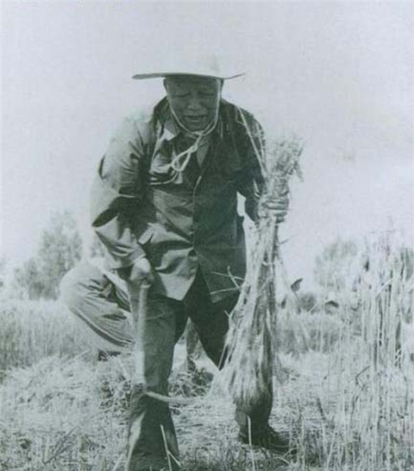 這個王牌軍真野,援朝未帶武器,師副政委率部“搶”駐地軍火庫 這個王牌軍真野,援朝未帶武器,師副政委率部“搶”駐地軍火庫