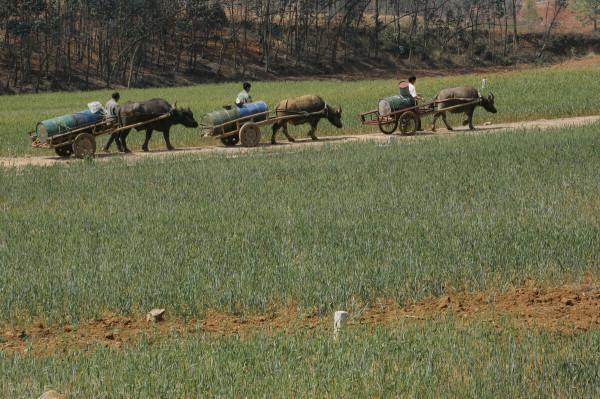 《菜根譚》慾念少一點,快樂多一點 《菜根譚》慾念少一點,快樂多一點