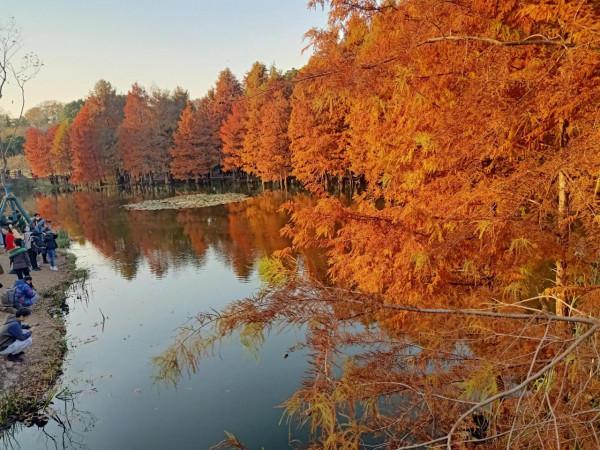 神仙的地方，不來會有遺憾