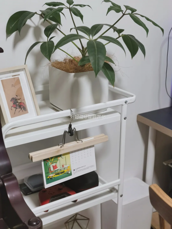 這些20元以內的收納好物,恨不得讓家越住越大 這些20元以內的收納好物,恨不得讓家越住越大