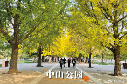 打卡北京秋日美景