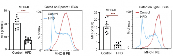 《細胞》子刊:高脂飲食不僅發胖還促癌?科學家發現,高脂飲食會抑制腸上皮細胞提呈抗原的能力,促進腫瘤生長 《細胞》子刊:高脂飲食不僅發胖還促癌?科學家發現,高脂飲食會抑制腸上皮細胞提呈抗原的能力,促進腫瘤生長