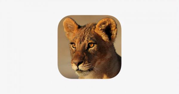 2021/9/25APP STORE蘋果IOS限時免費APP 2021/9/25APP STORE蘋果IOS限時免費APP