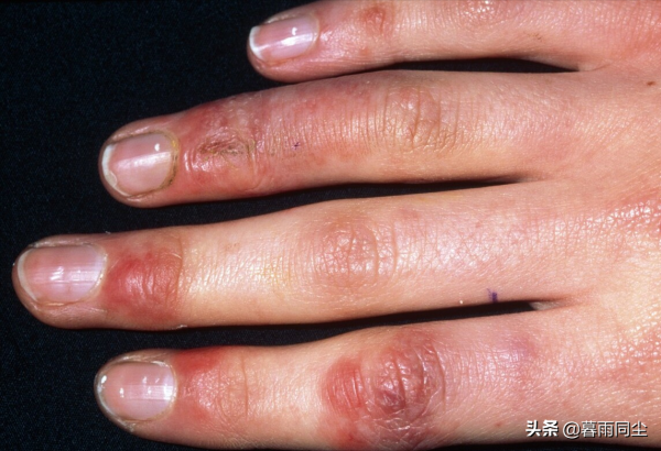 不要相信關於野外生存的神話，22個大錯特錯能讓你喪命的求生誤區