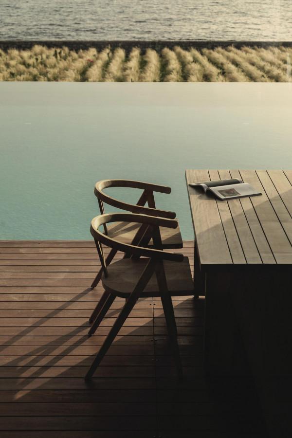 一個鬱鬱蔥蔥的迷迭香和薰衣草花園 一個鬱鬱蔥蔥的迷迭香和薰衣草花園