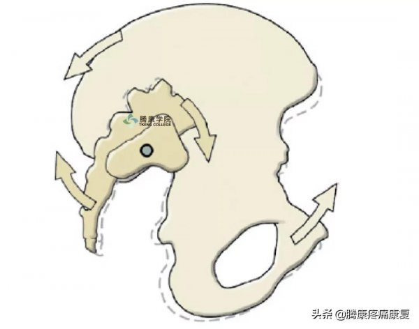 後仰腰痛的分析① 後仰腰痛的分析①