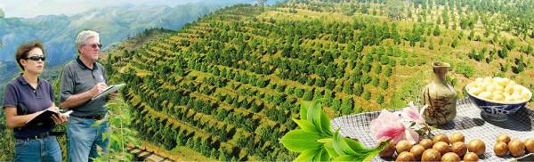 雲南的山脈,造福了半個亞洲,究竟是怎麼一回事呢? 雲南的山脈,造福了半個亞洲,究竟是怎麼一回事呢?