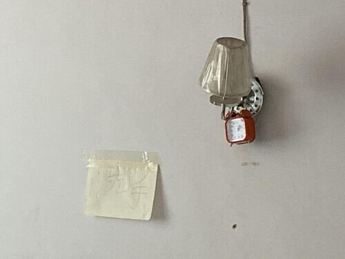 被“凍”在輪椅上的李小中決定僱兇殺己 被“凍”在輪椅上的李小中決定僱兇殺己