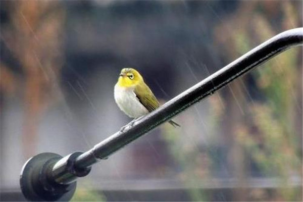 怎樣才知道自己是不是下凡歷劫 怎樣才知道自己是不是下凡歷劫