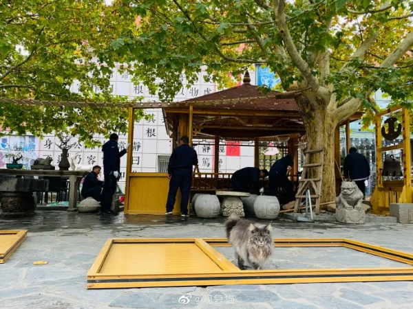 睡不醒的，冬三月