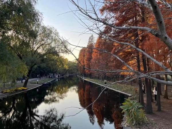 北京香山，美景如畫呀