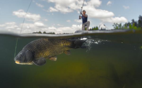 論靈敏度，有比朝天鉤更厲害的嗎？天冷必選釣法，沒有之一