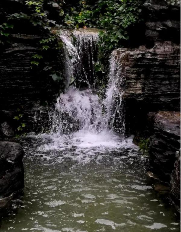小園小景也入畫 小園小景也入畫