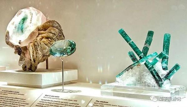 管道穿行間,遊遍倫敦—博物館篇之自然歷史博物館(下) 管道穿行間,遊遍倫敦—博物館篇之自然歷史博物館(下)