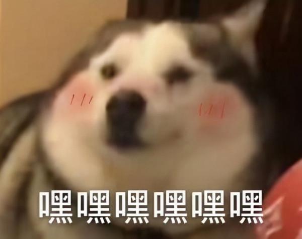 《蠟筆小新》中提及的霓虹美人們,你最中意哪一位? 《蠟筆小新》中提及的霓虹美人們,你最中意哪一位?