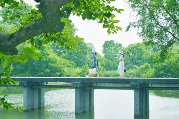 人間四月芳菲盡,西溪繁花始盛開 人間四月芳菲盡,西溪繁花始盛開