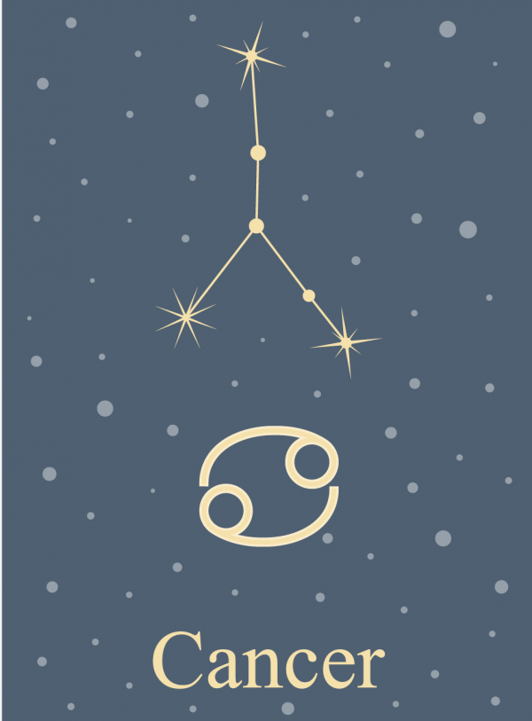 (星座周運)英國——雪萊·馮·斯特倫克爾12月26日-1月1日