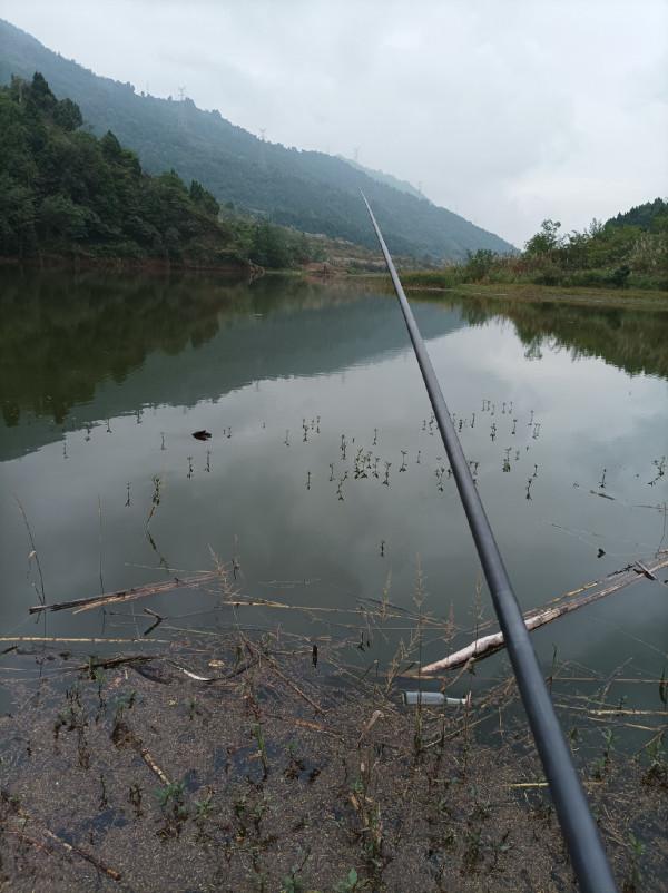 二戰水庫同樣被小趴虎教育，是釣位問題還是資源不好？