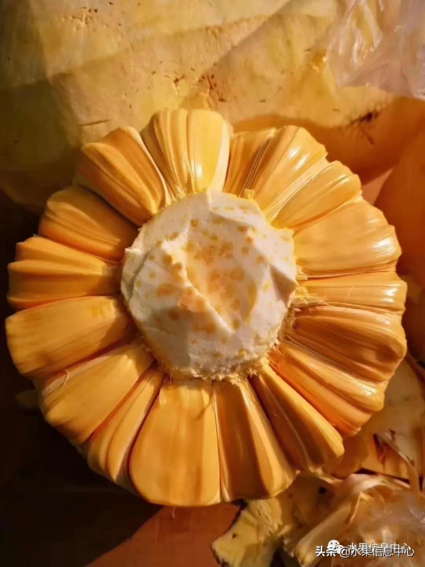 網友評選出“最難吃的水果”，你吃過幾種？