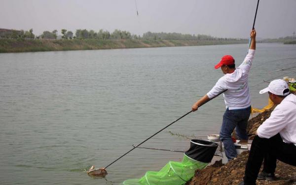 入秋後,要想釣獲大板鯽,不搞清楚這4點,勸你莫往河邊跑 入秋後,要想釣獲大板鯽,不搞清楚這4點,勸你莫往河邊跑