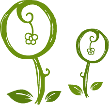 每日一膳 |八角茴香是廚房調味必備,但有偽品,小心辨識 ~廣東省中醫院楊志敏教授今日推薦 每日一膳 |八角茴香是廚房調味必備,但有偽品,小心辨識 ~廣東省中醫院楊志敏教授今日推薦