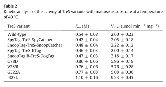 Int J Biol Macromol. | 利用肽標籤共價環化提高海藻糖合酶的熱穩定性及其分子機制研究