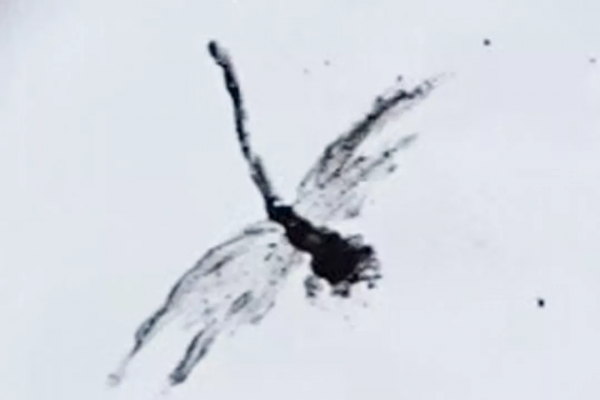 美麗的早餐食譜:荷花蜻蜓圖,搭配香腸雞蛋南瓜沙拉 美麗的早餐食譜:荷花蜻蜓圖,搭配香腸雞蛋南瓜沙拉