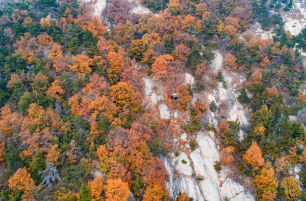 天蒙山中的冬日美景,一刻也不容錯過! 天蒙山中的冬日美景,一刻也不容錯過!