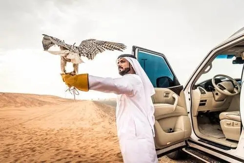 我國從哪些國家進口原油？主要從哪些國家進口鐵礦石、鋁土礦？