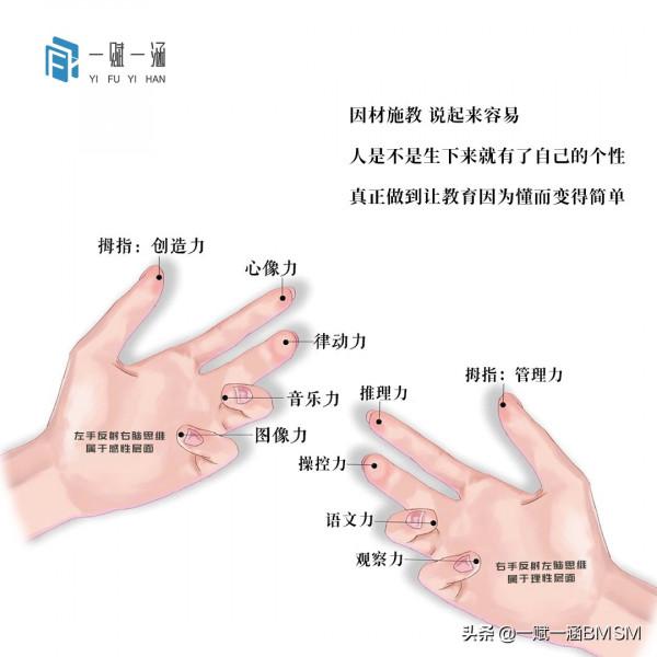 總裁型性格的孩子家長如何培養？不愛學習怎麼辦？
