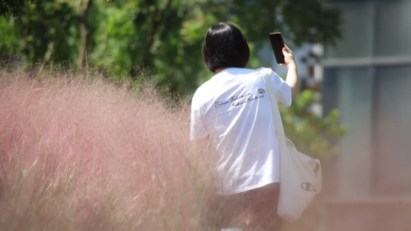 粉色浪漫再次籠罩浦東濱江，這個網紅打卡地等你來